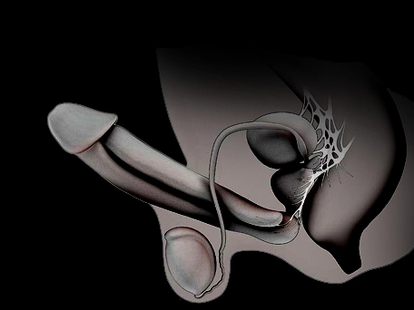 CLICK HERE Honey Boost XL review no.2